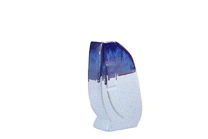 Premium quality handmade ceramic vase featuring a blue and white matte design ideal for flowers