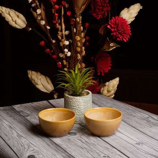 Caffeine Ceramic Handmade Cream Glossy katori bowl (Set of 2) - Caffeine Premium Stoneware